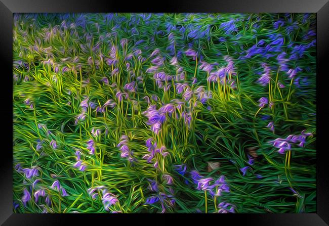 British Bluebells using an oil painting filter Framed Print by Leighton Collins