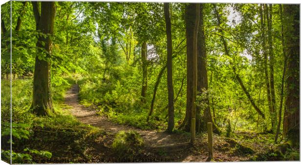 Clout Woods, Wroughton, Wiltshire, UK Canvas Print by Michaela Gainey
