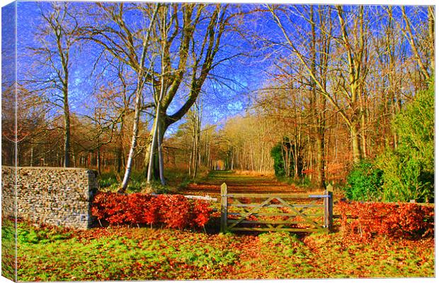 Lonely Gate Canvas Print by Karen Martin