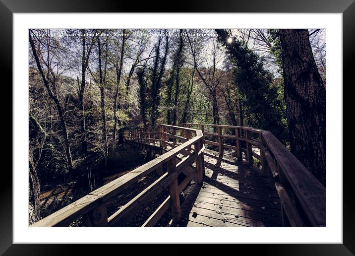 Footbridge leading to the forest Framed Mounted Print by Juan Ramón Ramos Rivero