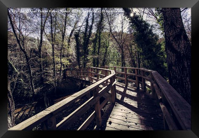Footbridge leading to the forest Framed Print by Juan Ramón Ramos Rivero