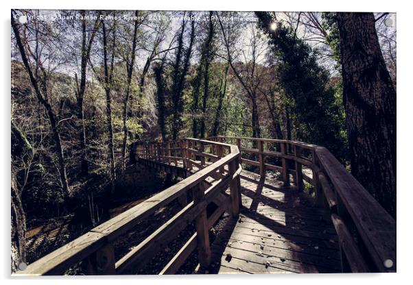Footbridge leading to the forest Acrylic by Juan Ramón Ramos Rivero