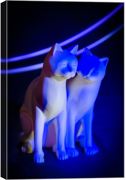 Blue cats, light painting. Canvas Print by Bryn Morgan