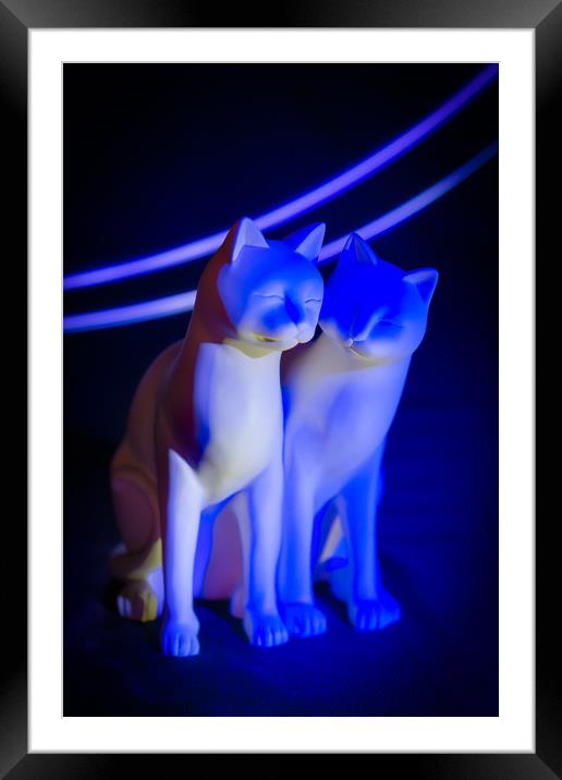 Blue cats, light painting. Framed Mounted Print by Bryn Morgan