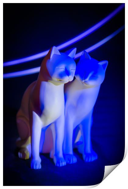 Blue cats, light painting. Print by Bryn Morgan