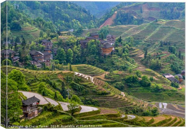 Dragon Backbone's Rice Terraces Canvas Print by Claire Turner