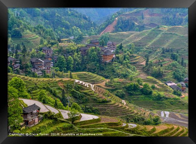 Dragon Backbone's Rice Terraces Framed Print by Claire Turner