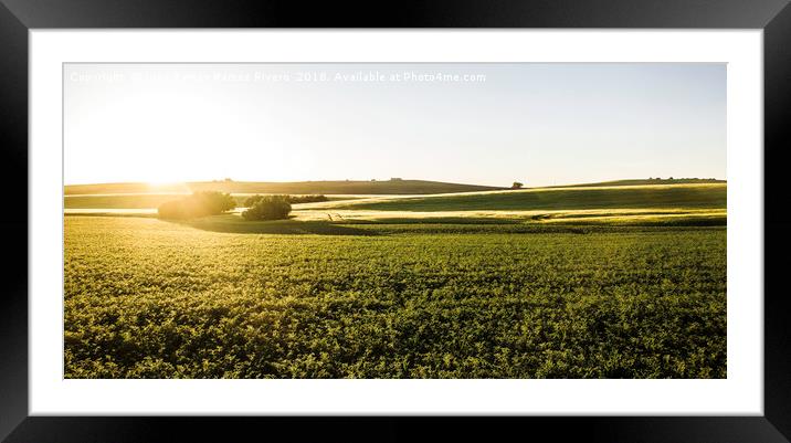 Reflections of the sun in the wheat field Framed Mounted Print by Juan Ramón Ramos Rivero