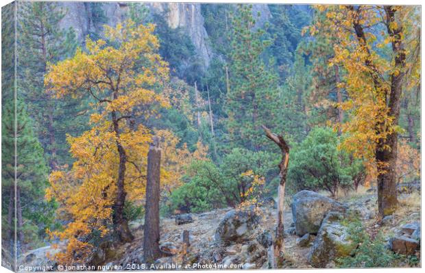 Yosemite In Autumn Canvas Print by jonathan nguyen