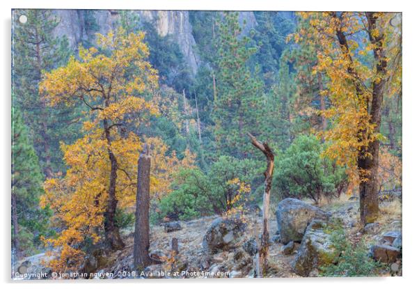Yosemite In Autumn Acrylic by jonathan nguyen