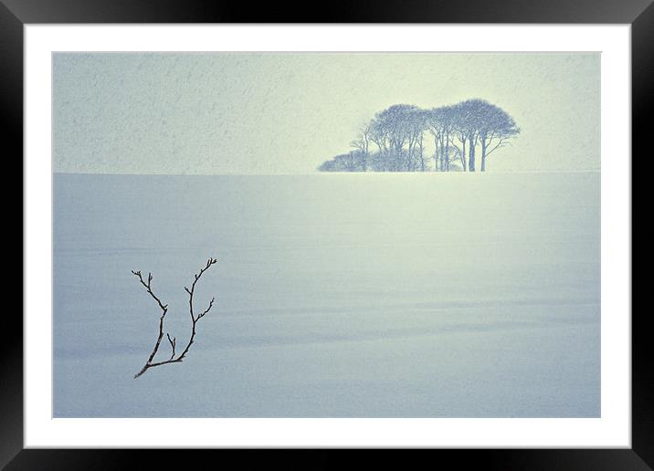 The Snow Storm - Winter Copse, County Durham. Framed Mounted Print by David Lewins (LRPS)