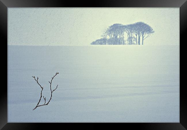 The Snow Storm - Winter Copse, County Durham. Framed Print by David Lewins (LRPS)