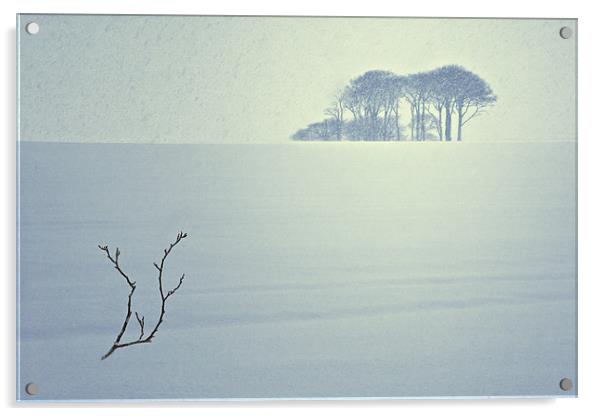 The Snow Storm - Winter Copse, County Durham. Acrylic by David Lewins (LRPS)