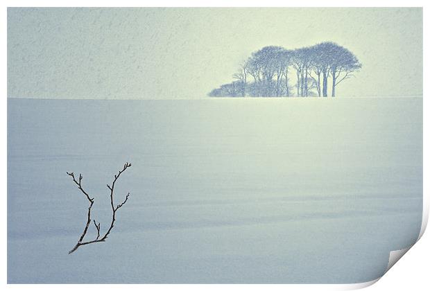 The Snow Storm - Winter Copse, County Durham. Print by David Lewins (LRPS)