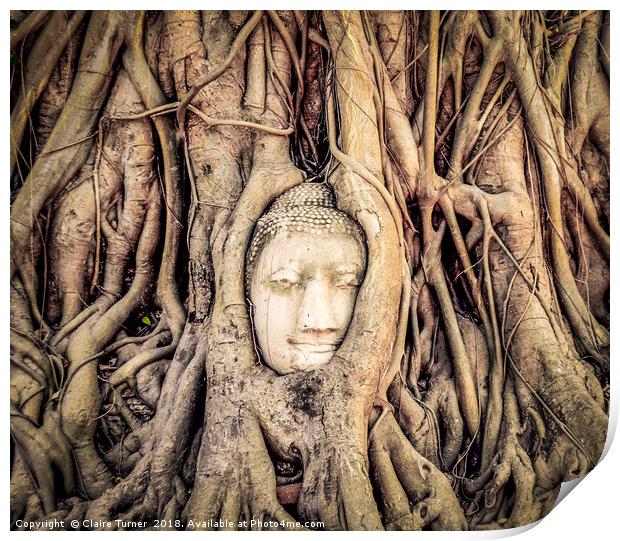 Buddha head in tree roots Print by Claire Turner