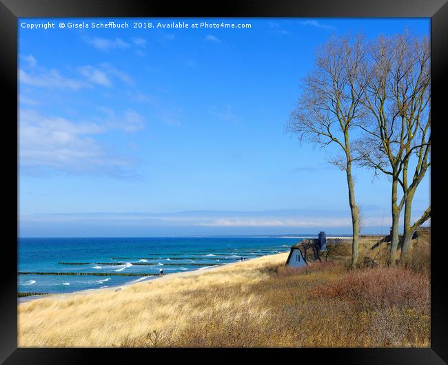 In the Dunes - Ahrenshoop Scenery Framed Print by Gisela Scheffbuch