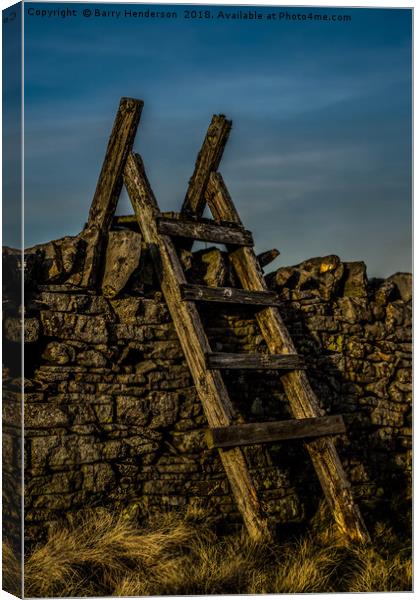 The Wooden Stile Canvas Print by Barry Henderson