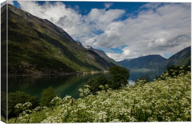Sognefjord Canvas Print by Thomas Schaeffer