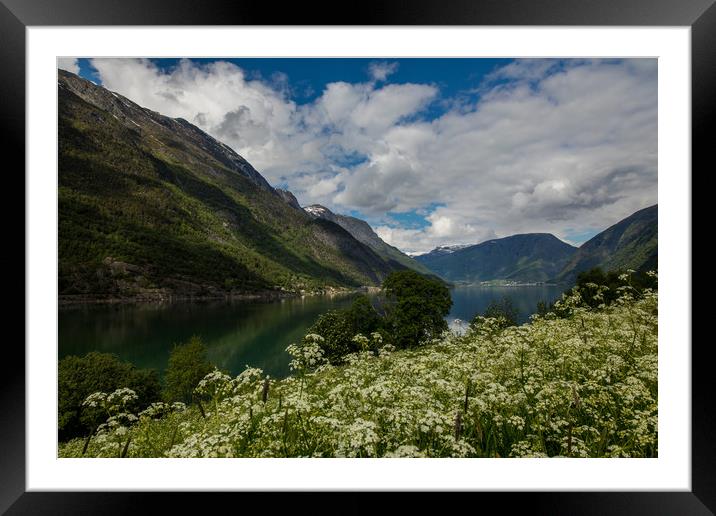 Sognefjord Framed Mounted Print by Thomas Schaeffer