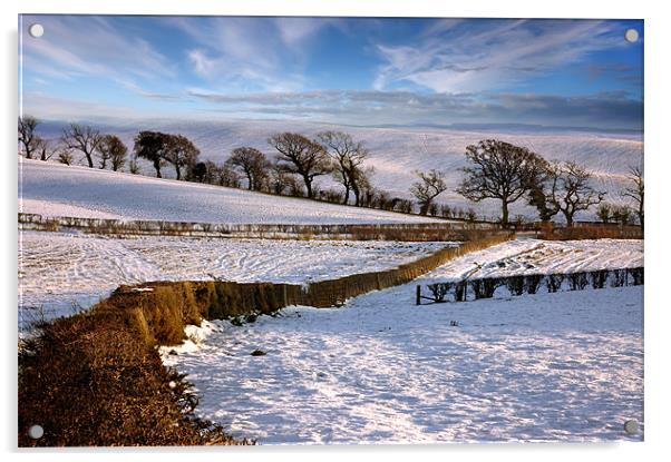 Winter Walk Acrylic by John Boyle