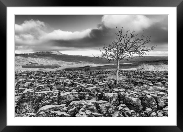 Southerscales in the Yorkshire Dales (mono) Framed Mounted Print by Tony Keogh