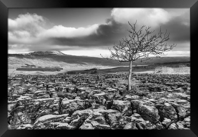 Southerscales in the Yorkshire Dales (mono) Framed Print by Tony Keogh