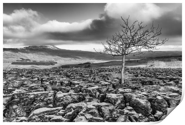 Southerscales in the Yorkshire Dales (mono) Print by Tony Keogh