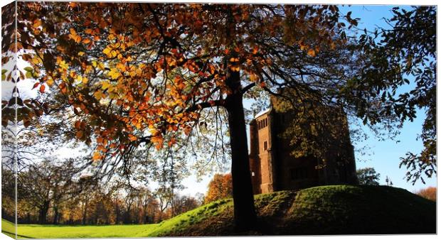 Red Mount Kings Lynn Canvas Print by D Buttolph Photography