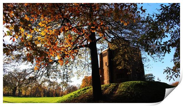 Red Mount Kings Lynn Print by D Buttolph Photography