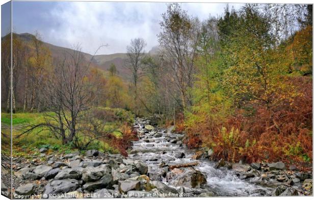 "Autumn at the mountain stream" Canvas Print by ROS RIDLEY