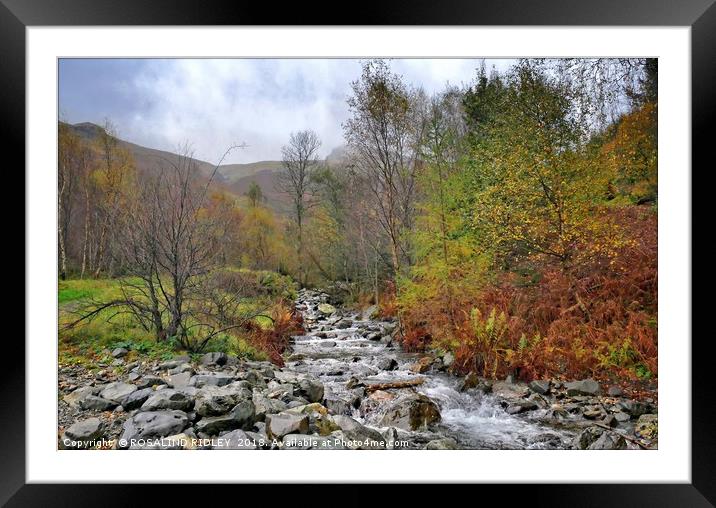 "Autumn at the mountain stream" Framed Mounted Print by ROS RIDLEY