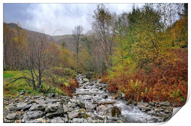 "Autumn at the mountain stream" Print by ROS RIDLEY