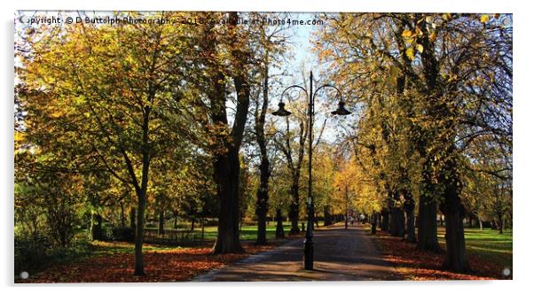 Lovely autumn  Acrylic by D Buttolph Photography