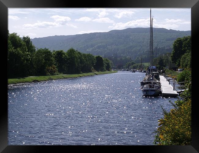 Sunny Day On The Caledonian Canal Framed Print by Nigel G Owen