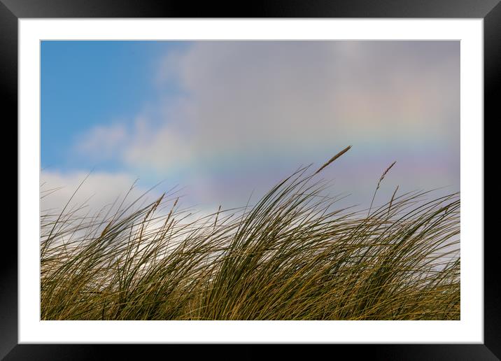 Rainbow dunes Framed Mounted Print by Thomas Schaeffer