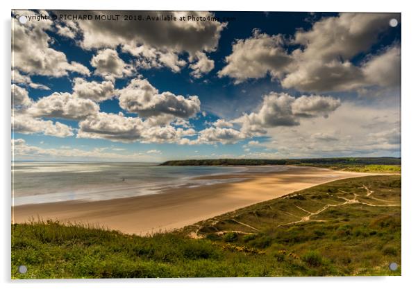 Oxwich Bay Acrylic by RICHARD MOULT