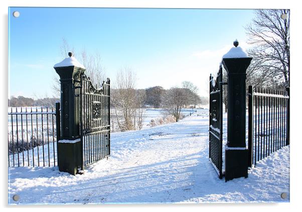 The Gates to a frozen Lurgan Park, County Armagh Acrylic by David McFarland