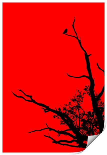 Bird In Tree. Print by Darren Burroughs