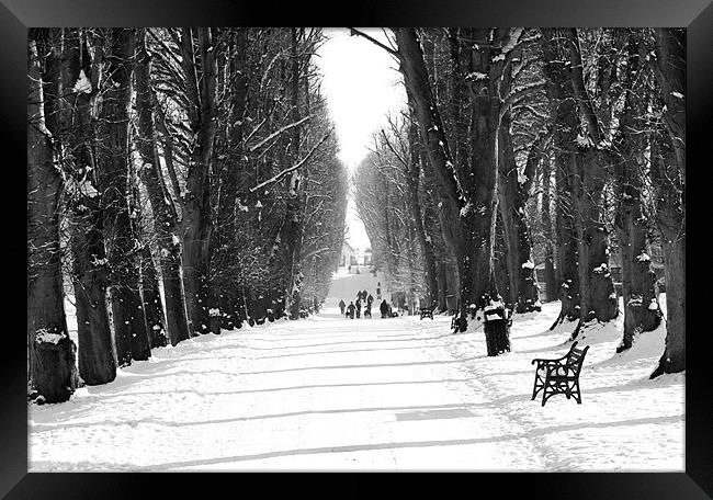 Winter walk in Lurgan Park Framed Print by David McFarland