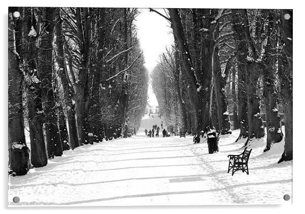 Winter walk in Lurgan Park Acrylic by David McFarland