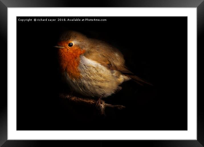 A bird in the Bush Framed Mounted Print by richard sayer