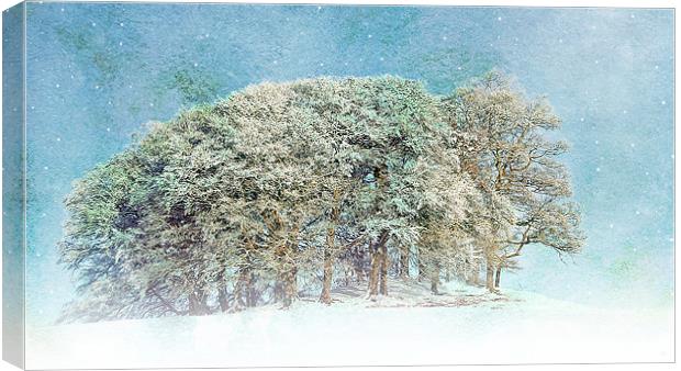 Snow Flakes Fall. Canvas Print by Aj’s Images