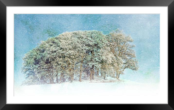 Snow Flakes Fall. Framed Mounted Print by Aj’s Images