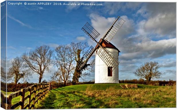 Ashton Windmill Chapel Allerton Somerset Canvas Print by austin APPLEBY