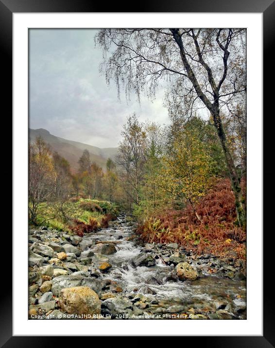 "Portrait of a Lakeland mountain stream" Framed Mounted Print by ROS RIDLEY