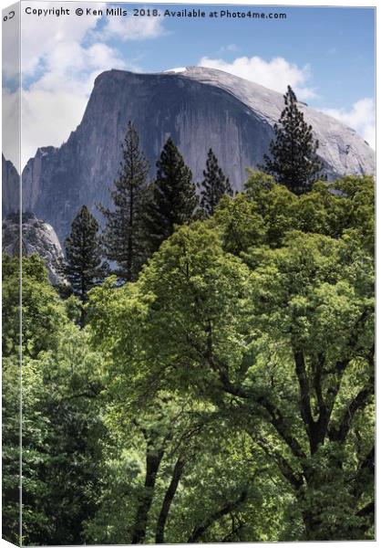 Half Dome and Trees Canvas Print by Ken Mills