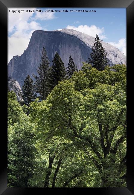 Half Dome and Trees Framed Print by Ken Mills