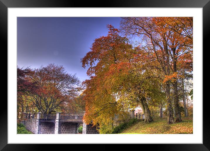 Duthy Park in autumn, Aberdeen Framed Mounted Print by Gabor Pozsgai