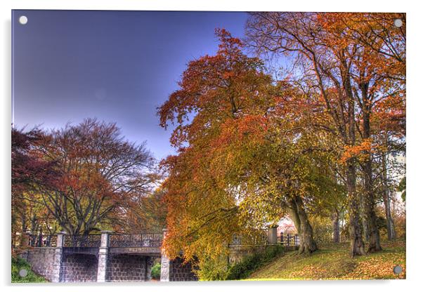 Duthy Park in autumn, Aberdeen Acrylic by Gabor Pozsgai