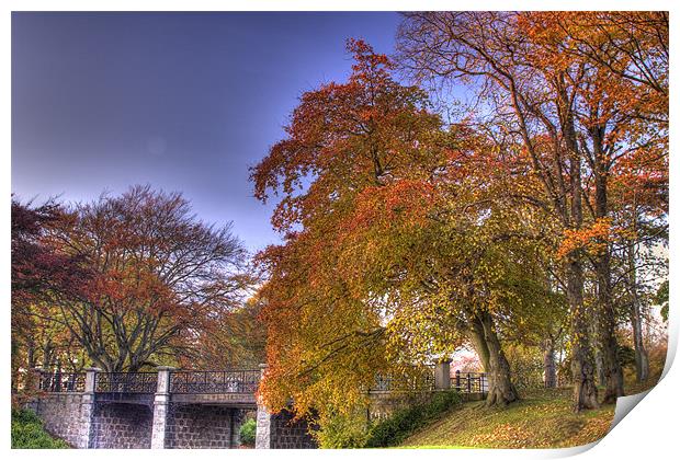 Duthy Park in autumn, Aberdeen Print by Gabor Pozsgai